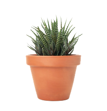 Planta 3